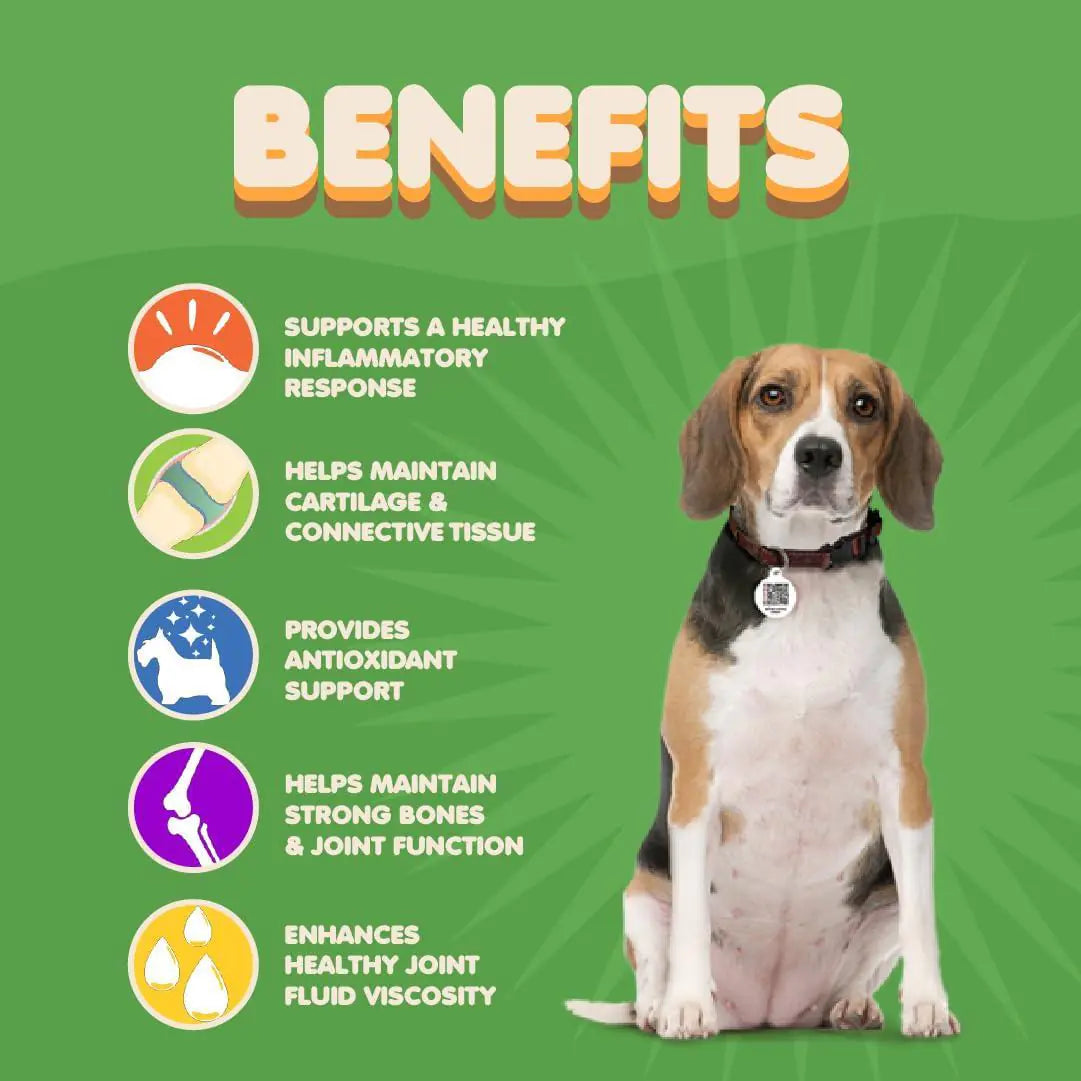 Makondo Pet Hip & Joint Support Supplement