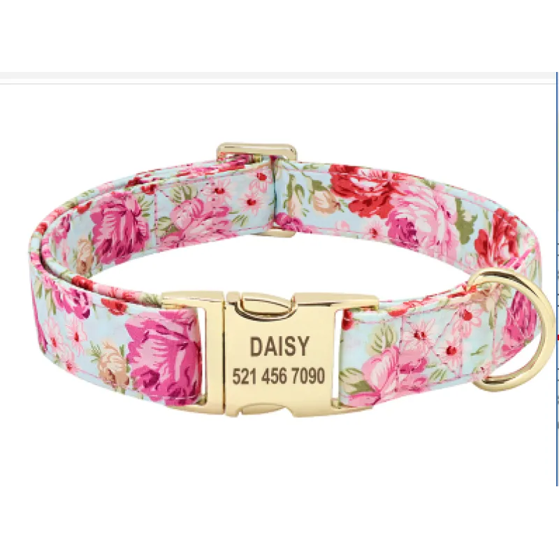 Personalized Pooch Protector Collar