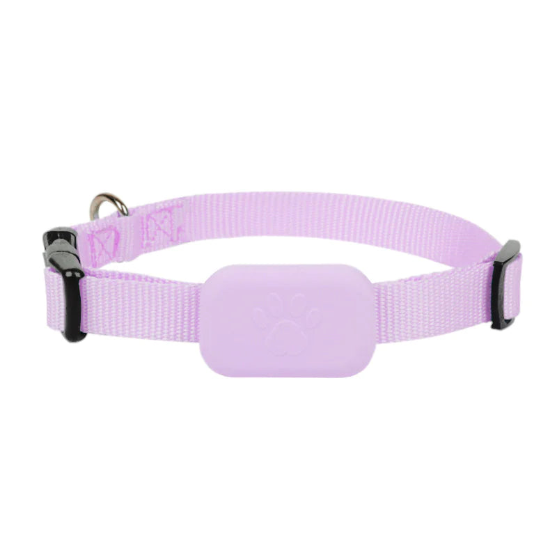 SafePet Finder Collar