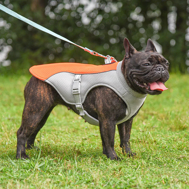 Summer Breeze Pet Cooling Vest