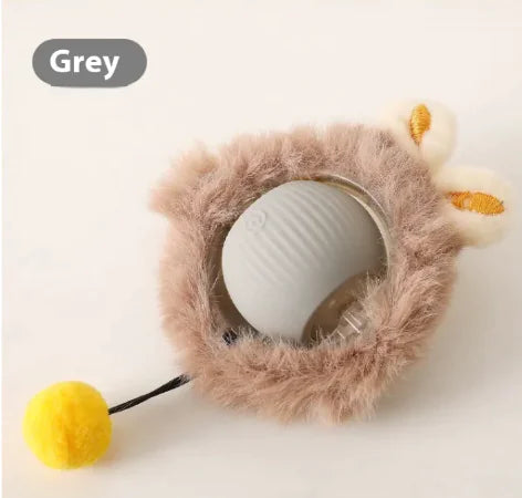 Purrfect Playmate Ball