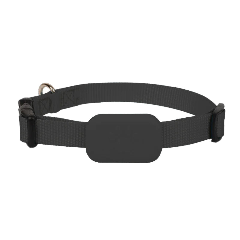 SafePet Finder Collar