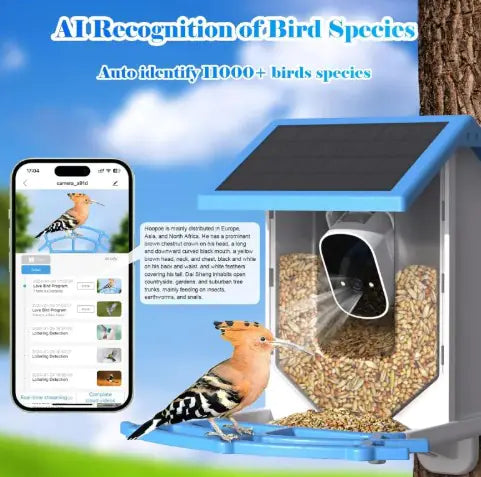 EcoSmart Solar BirdCam Feeder