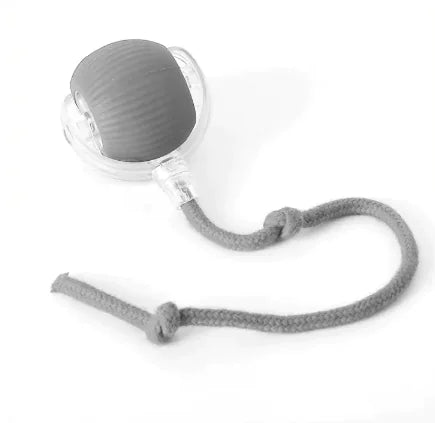 Purrfect Playmate Ball