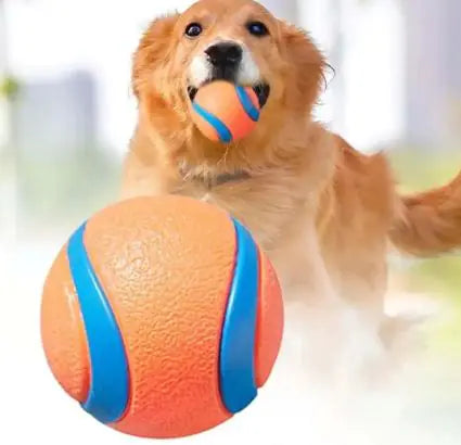 Fetch Fun Floating Rubber Play Ball