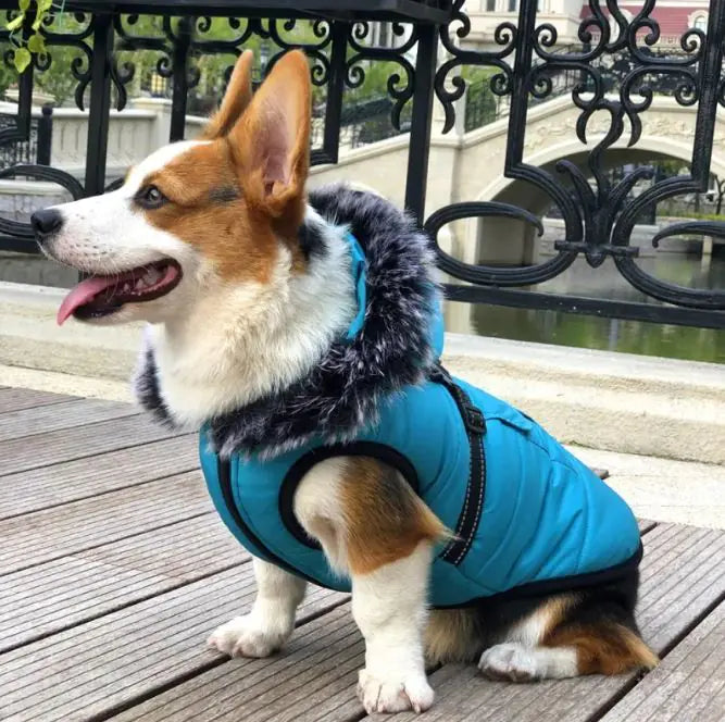 PetSnug Warm Cotton Vest with Luxury Fur