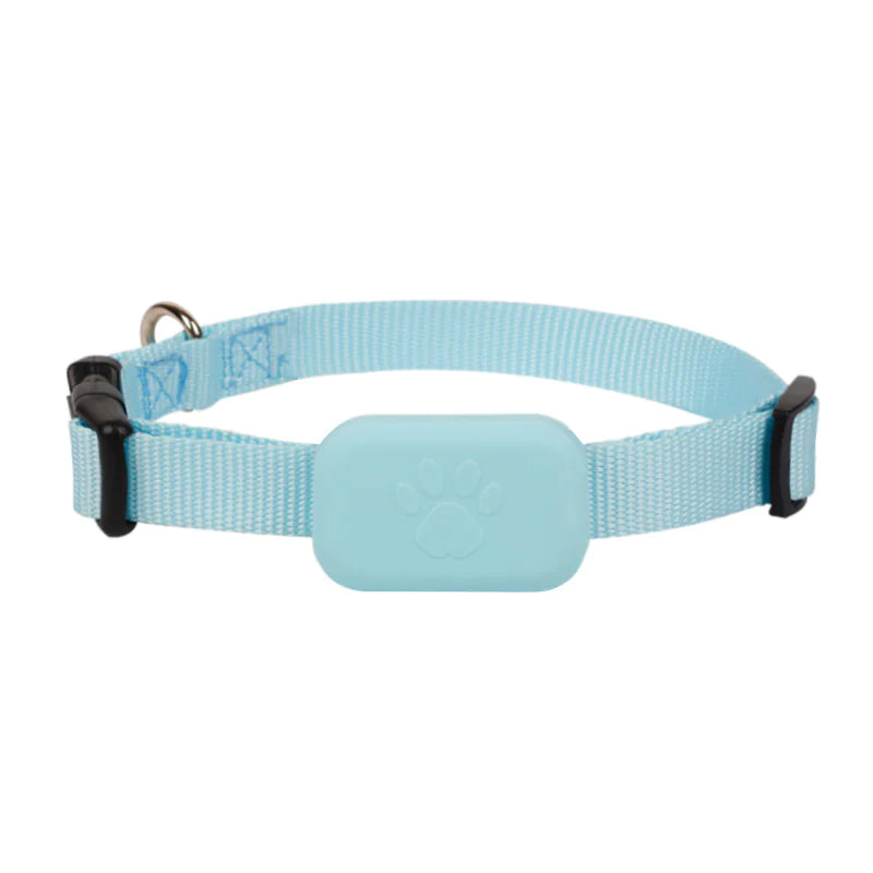 SafePet Finder Collar