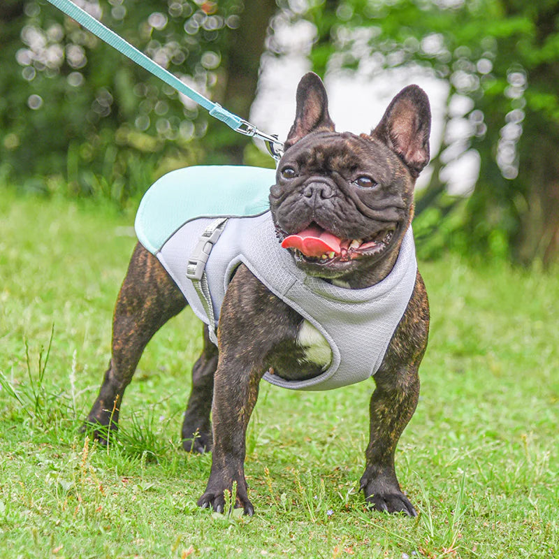 Summer Breeze Pet Cooling Vest