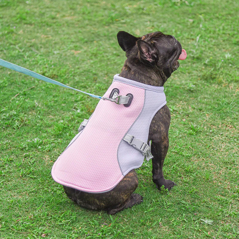 Summer Breeze Pet Cooling Vest
