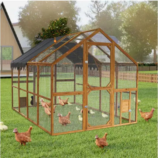 Trending Pet Products at Peaches Pet Store