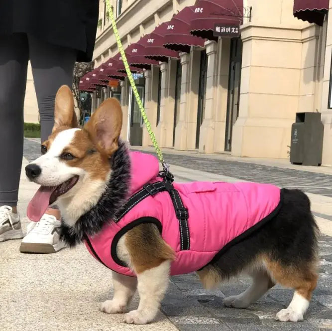 PetSnug Warm Cotton Vest with Luxury Fur