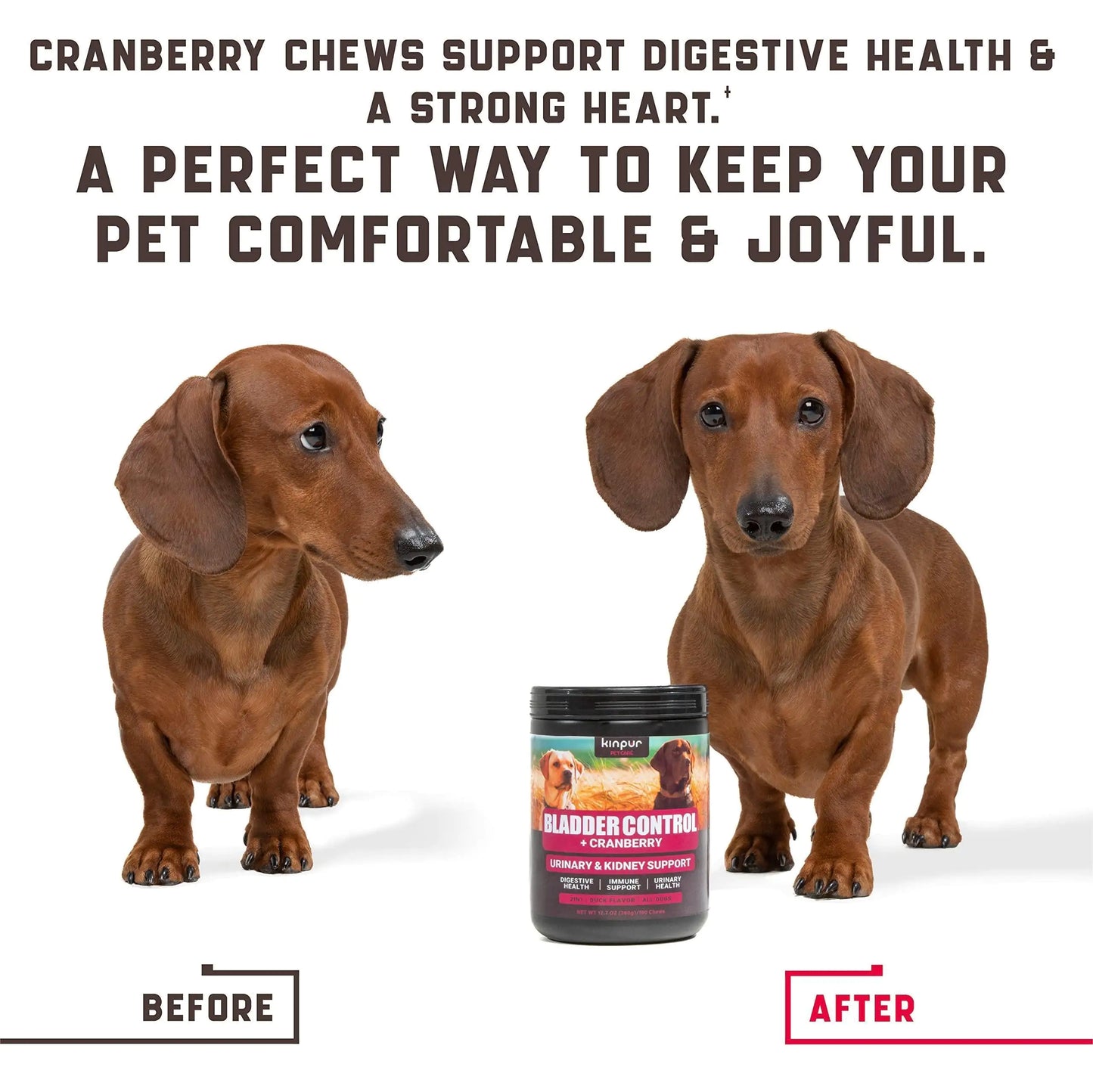 Cranberry Urinary Health Chews for Dogs