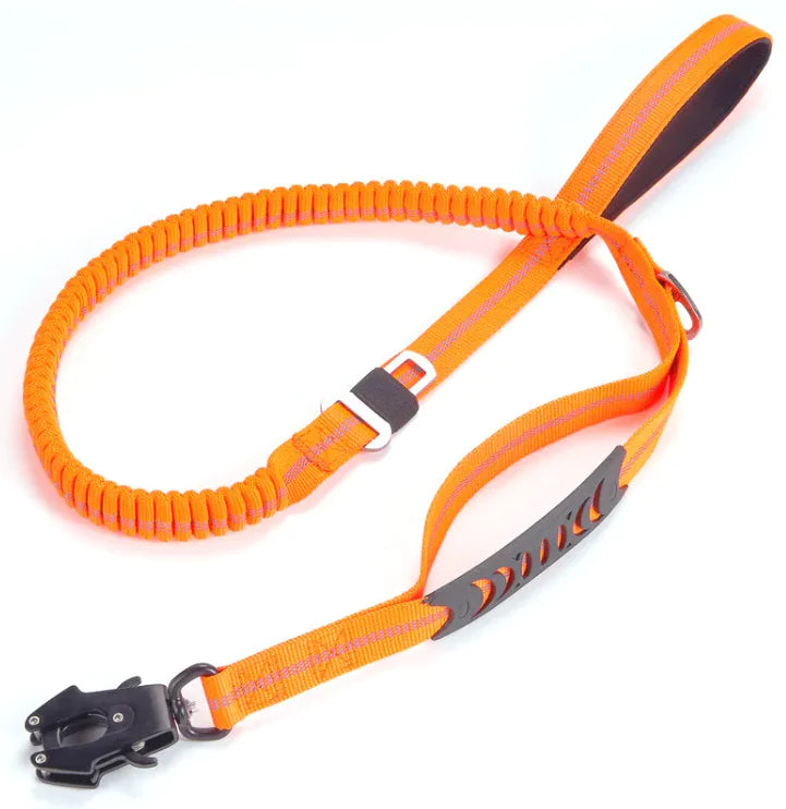 NightWalk Heavy-Duty Reflective Leash