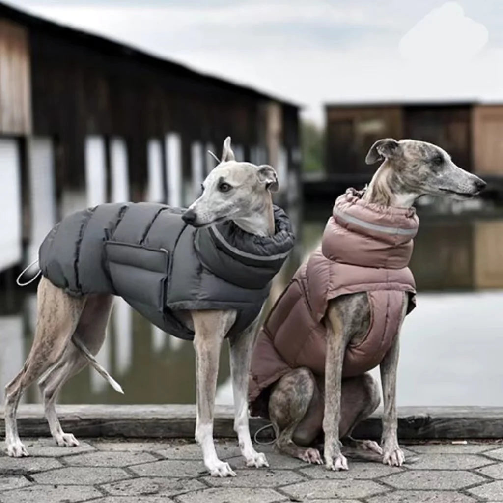 Fashionable Canine Thermal Jacket