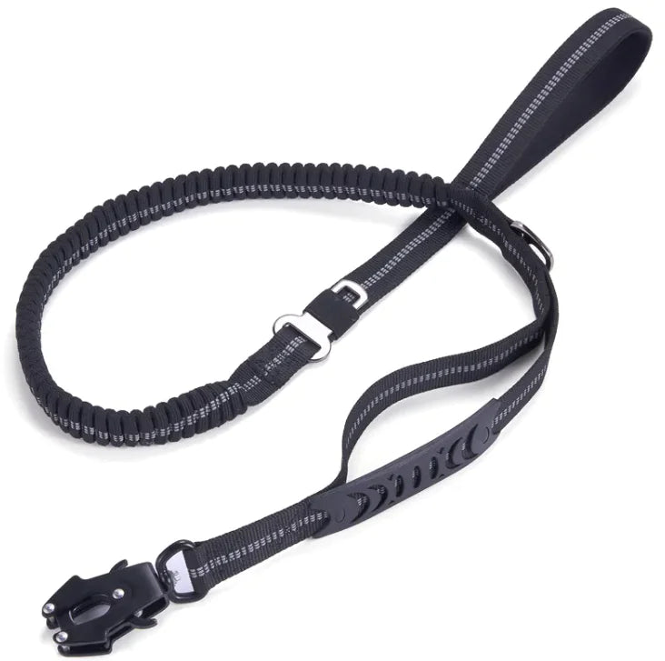 NightWalk Heavy-Duty Reflective Leash