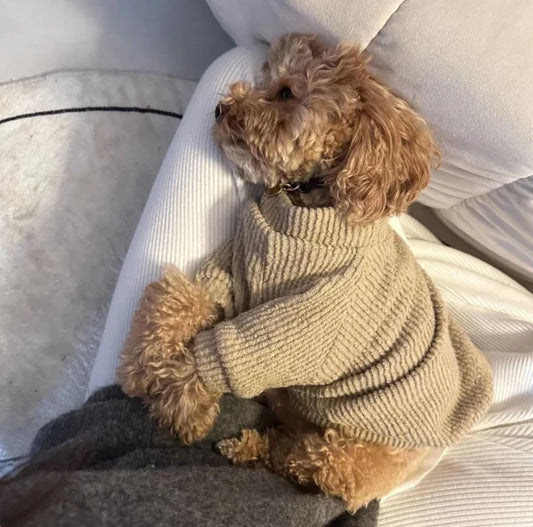 Cozy Canine Knits