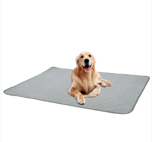 SecureStay Pet Mat