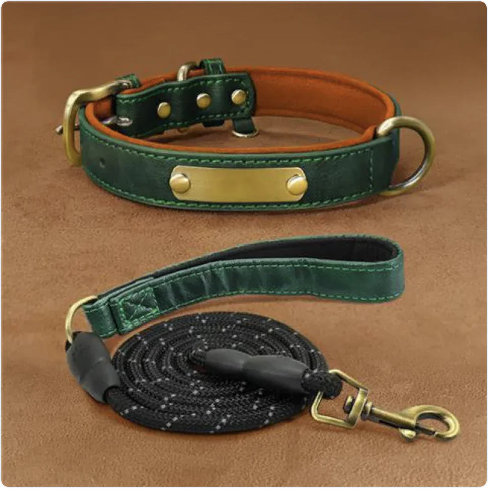 Customizable Microfiber Fashionable Dog Collar