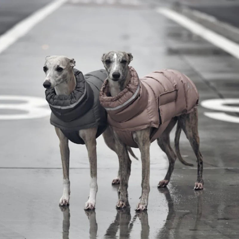 Fashionable Canine Thermal Jacket