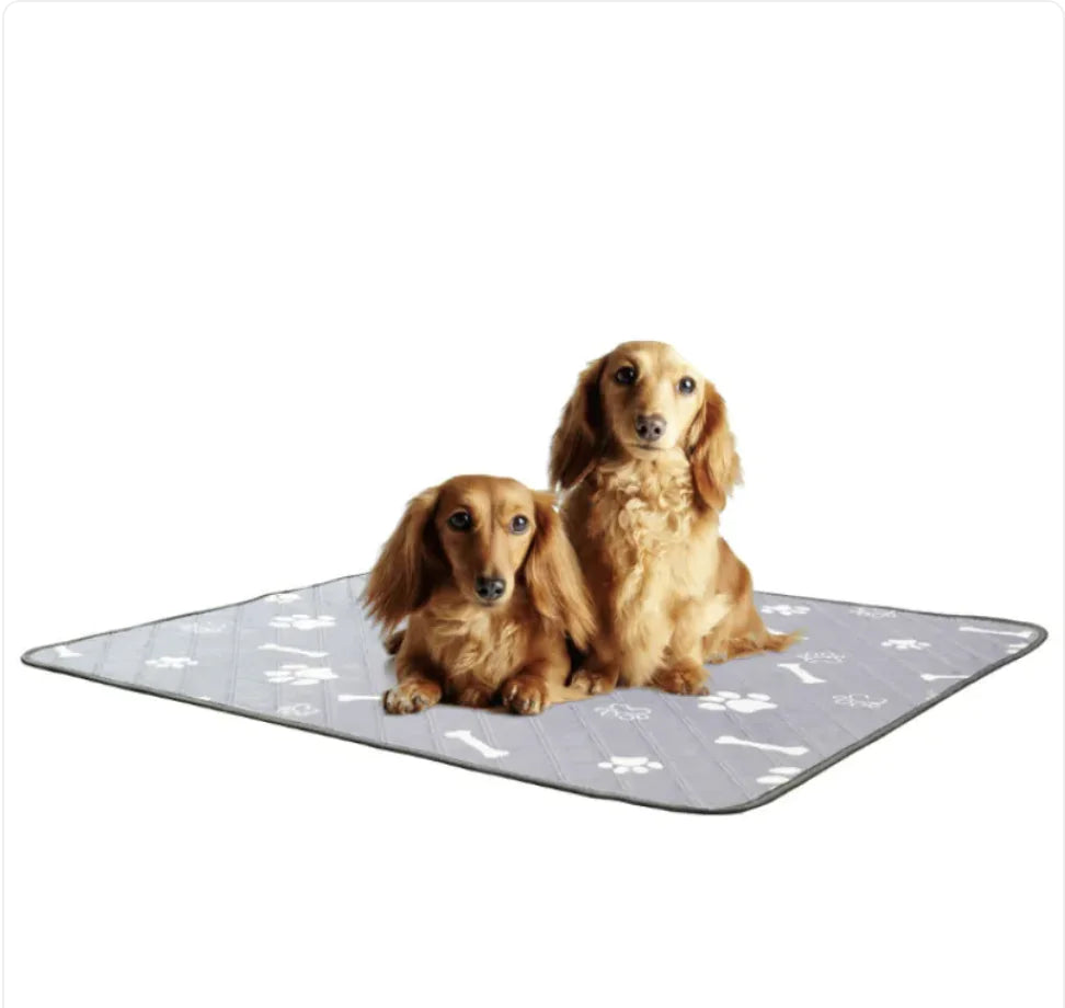 SecureStay Pet Mat