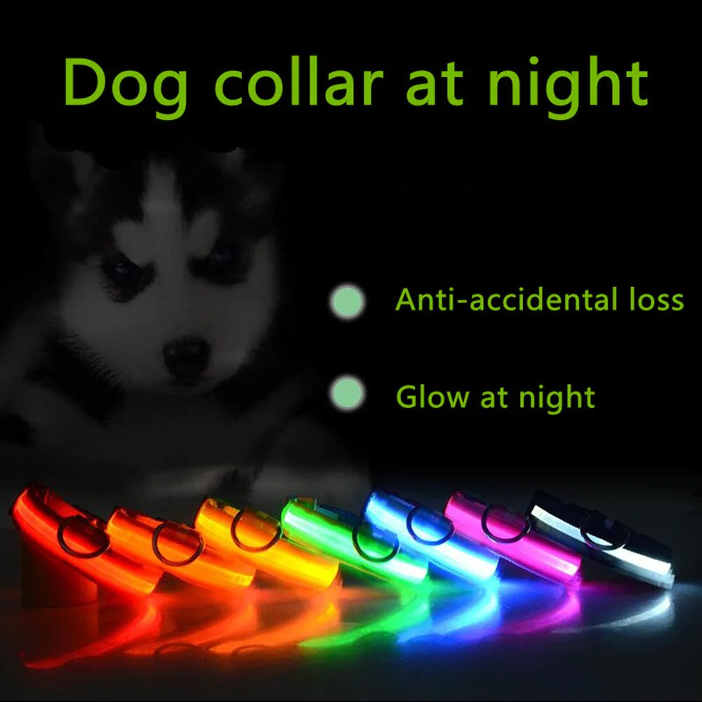 GlowGuard Dog Collar: High Visibility Waterproof LED