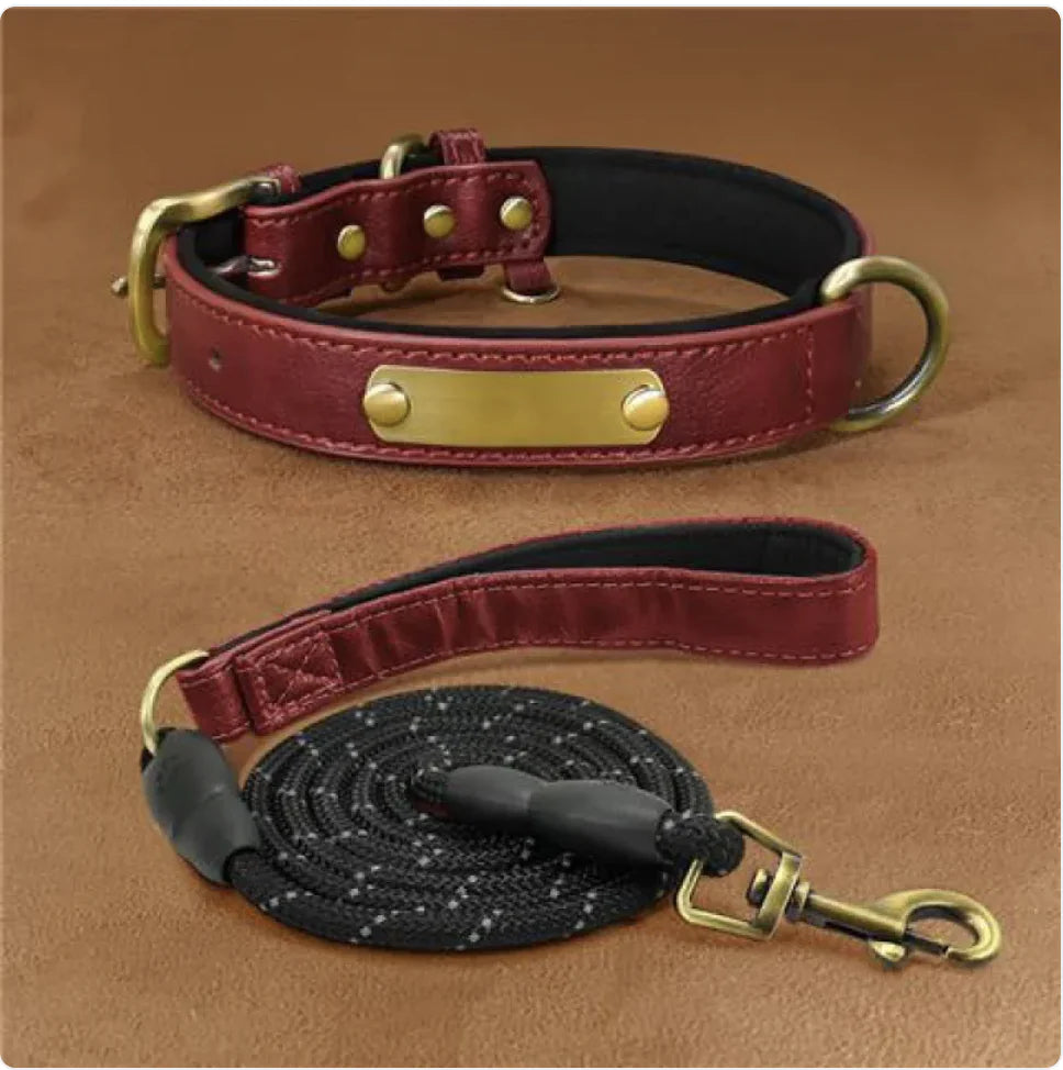 Customizable Microfiber Fashionable Dog Collar