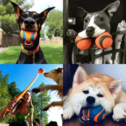 Fetch Fun Floating Rubber Play Ball
