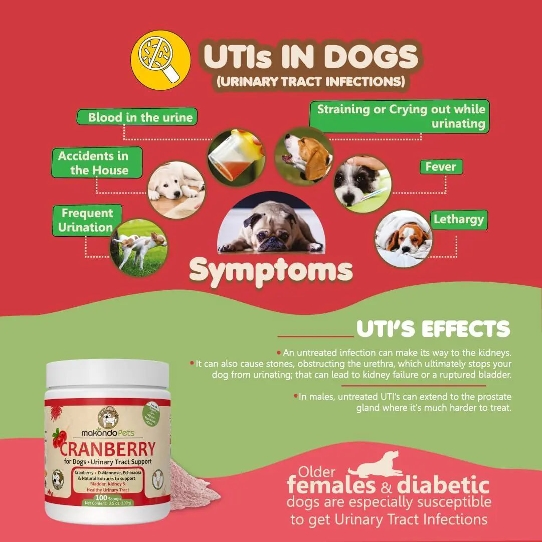 Cranberry Kidney Care - Natural UTI & Bladder Support for Dogs