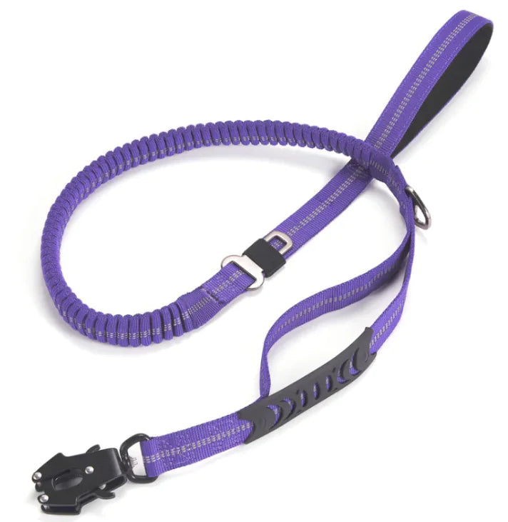 NightWalk Heavy-Duty Reflective Leash