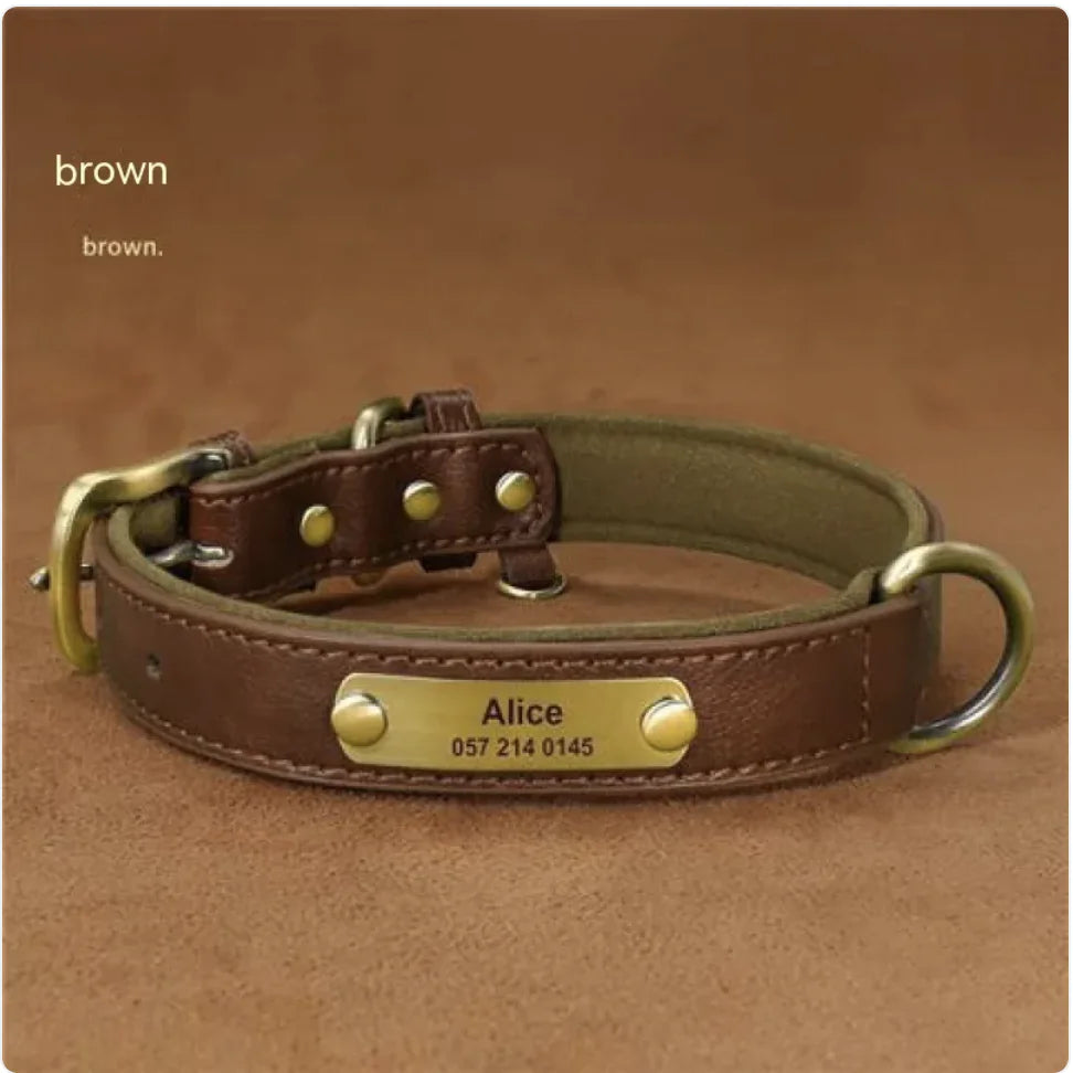 Customizable Microfiber Fashionable Dog Collar