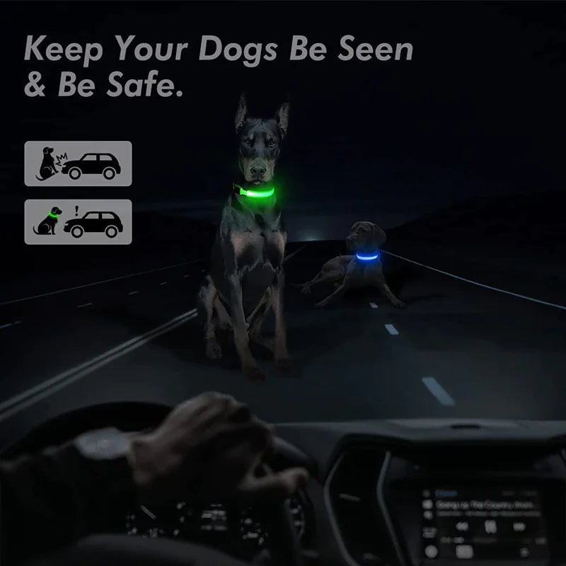 GlowGuard Dog Collar: High Visibility Waterproof LED