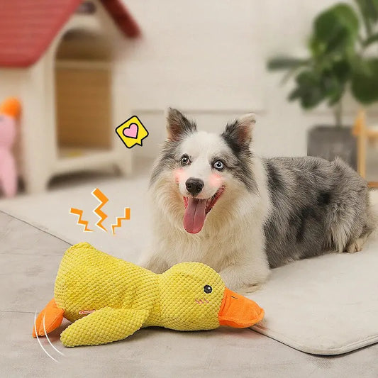 Cuddle Duck Companion