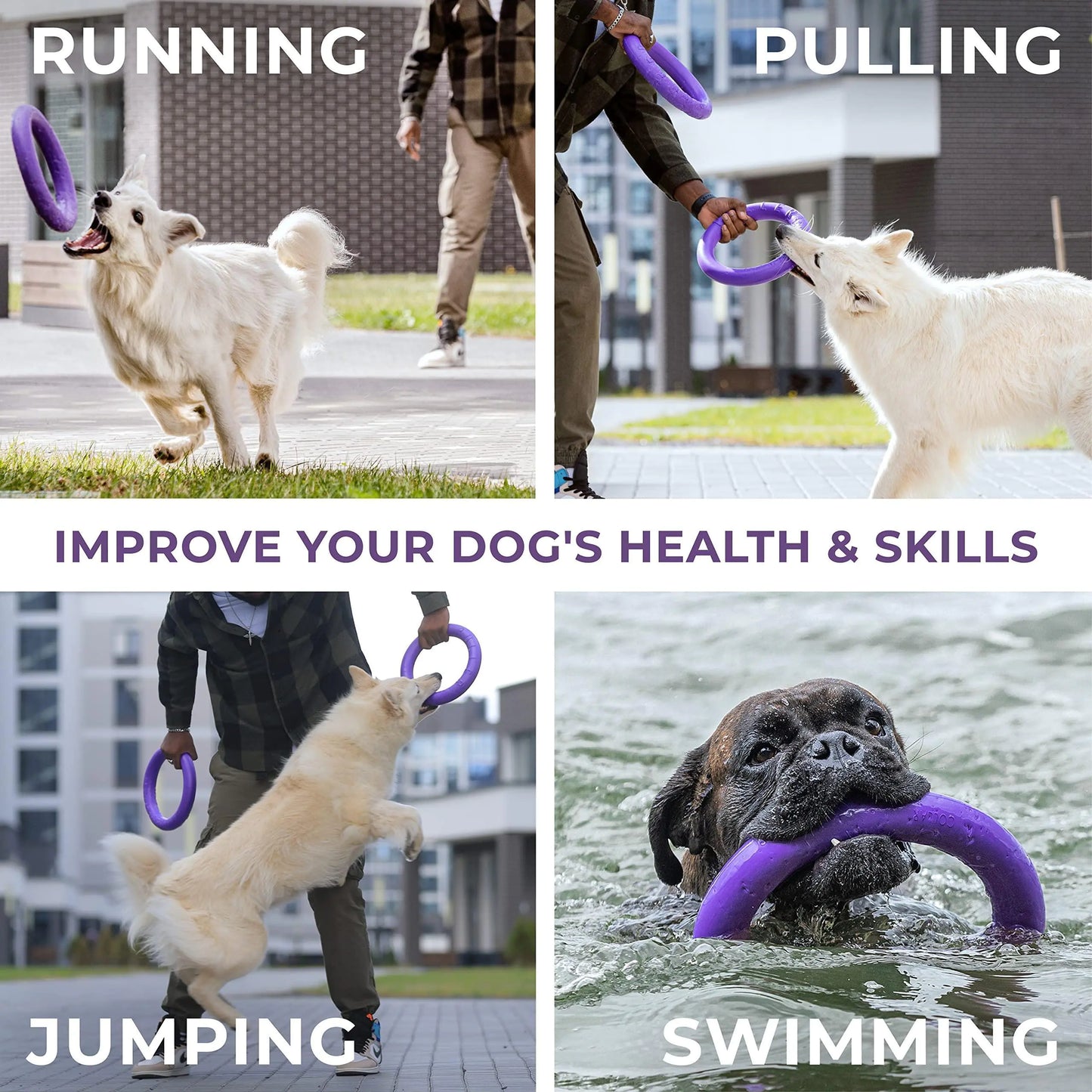 FetchPro Dog Rings for Active Play
