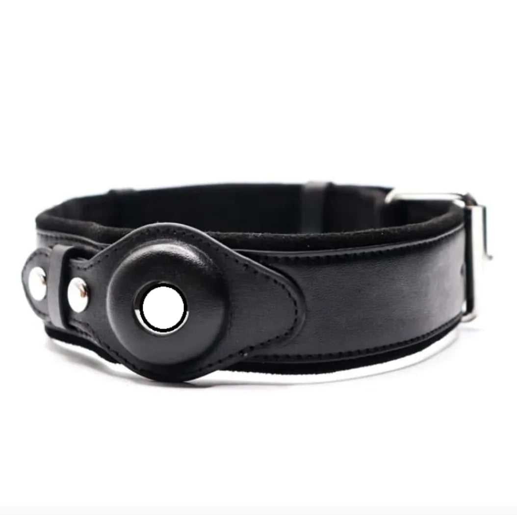 Trackable Premium Leather Dog Collar