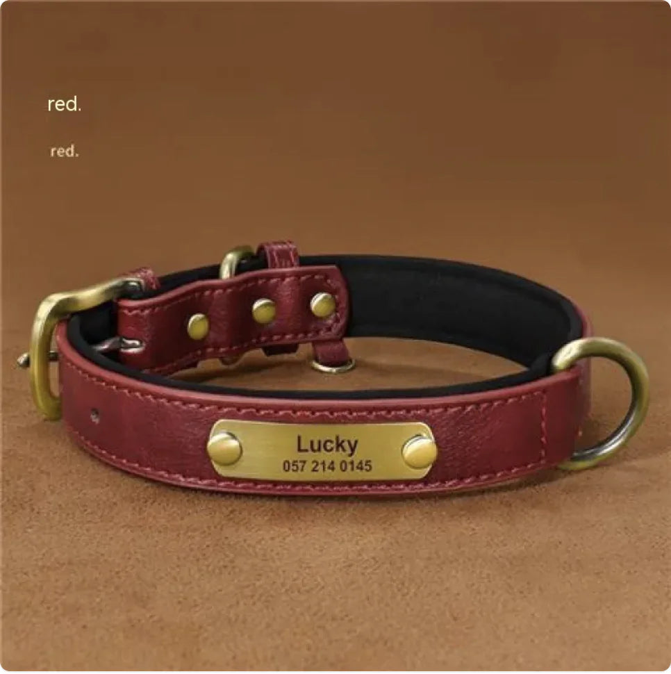 Customizable Microfiber Fashionable Dog Collar
