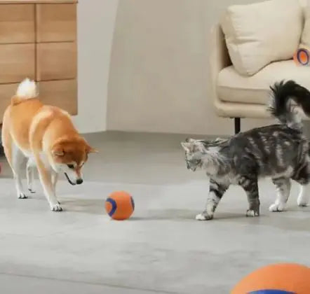 Fetch Fun Floating Rubber Play Ball
