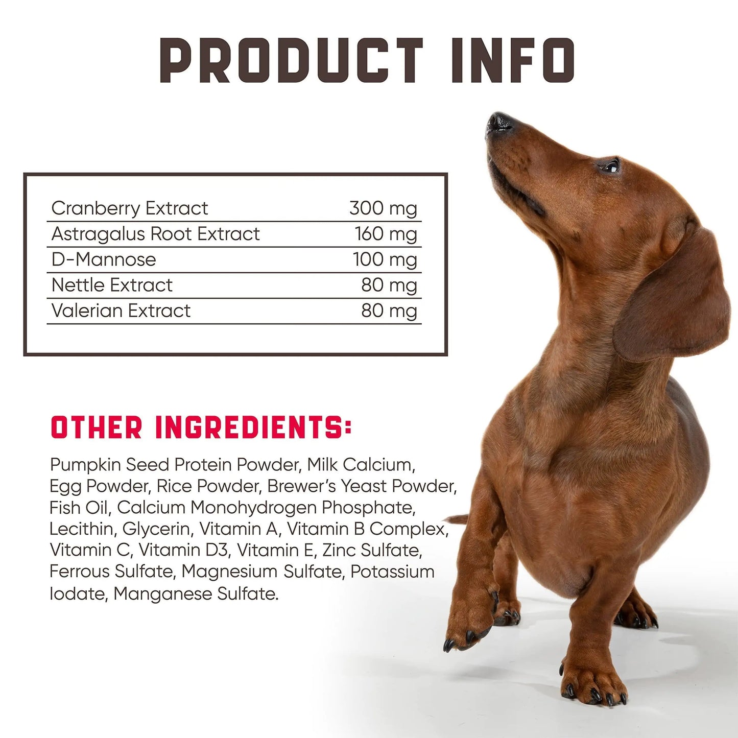 Cranberry Urinary Health Chews for Dogs