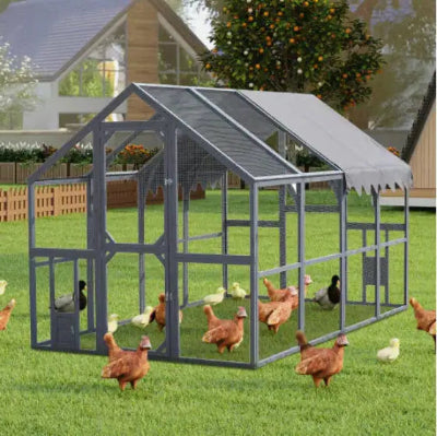 All-Weather Spacious Chicken Courtyard