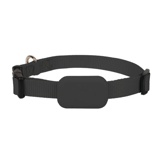 SafePet Finder Collar