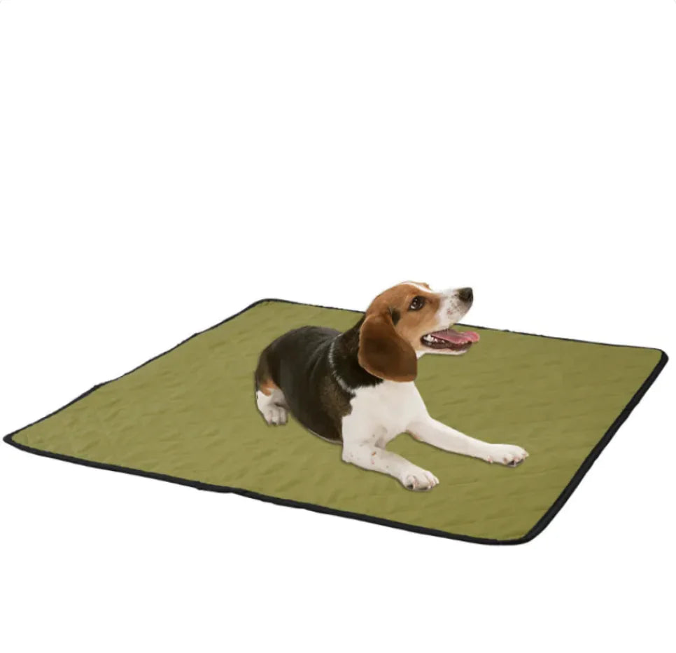 SecureStay Pet Mat