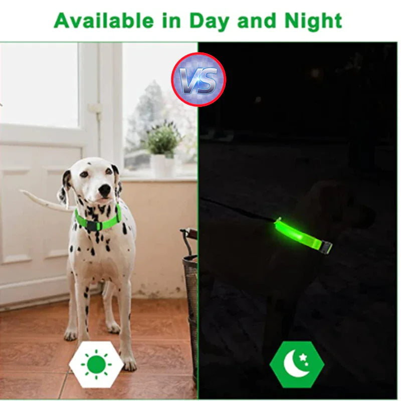 GlowGuard Dog Collar: High Visibility Waterproof LED