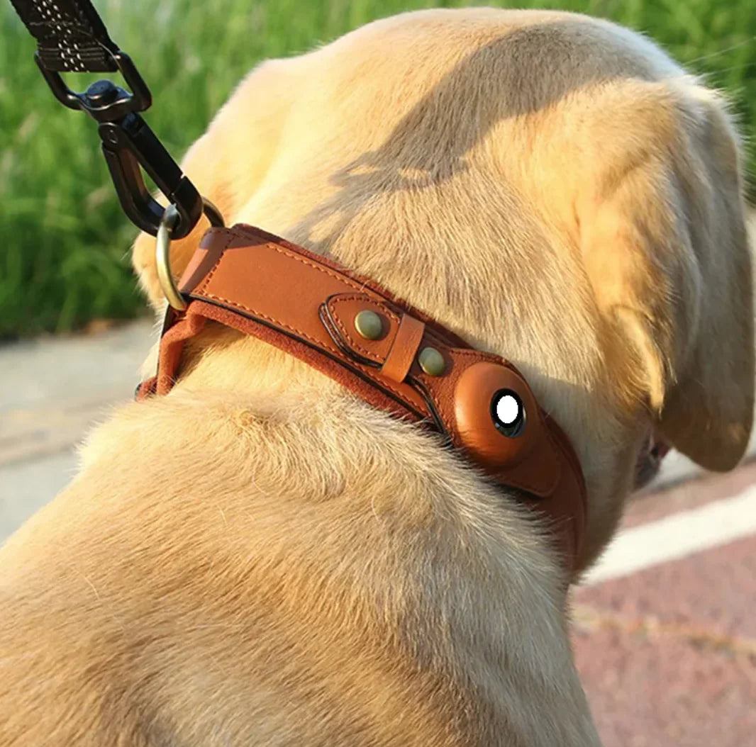 Trackable Premium Leather Dog Collar