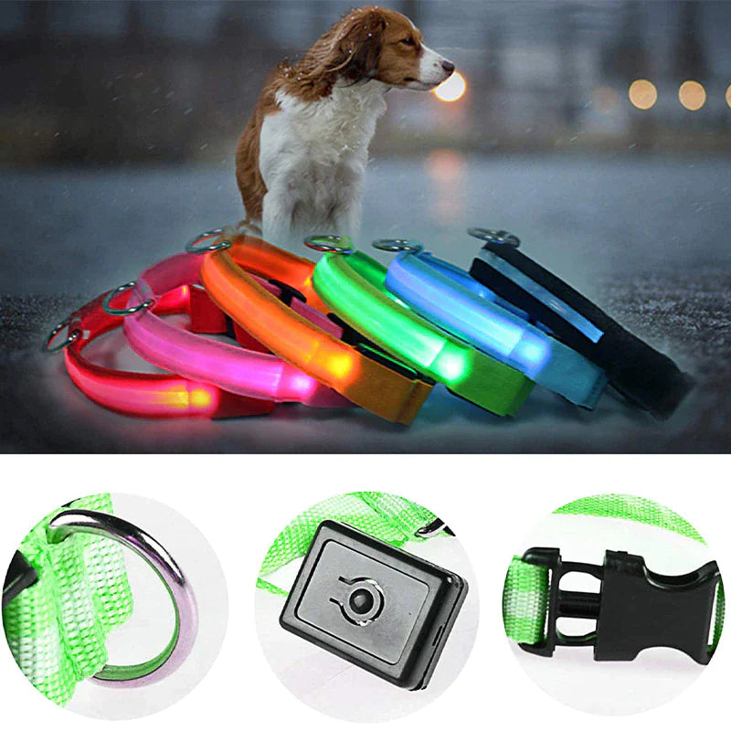 GlowGuard Dog Collar: High Visibility Waterproof LED