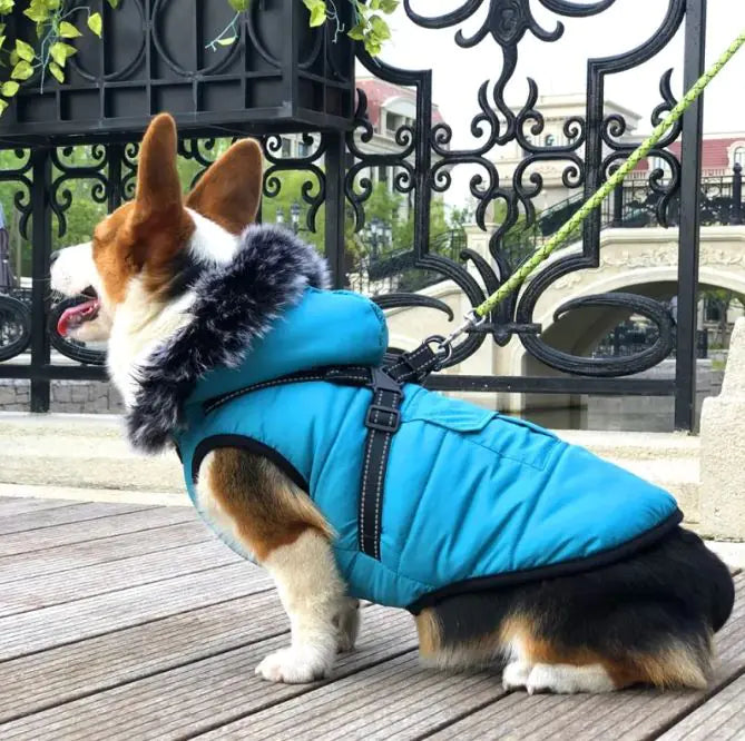 PetSnug Warm Cotton Vest with Luxury Fur