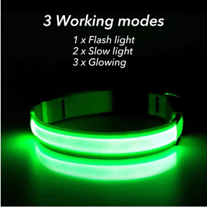 GlowGuard Dog Collar: High Visibility Waterproof LED