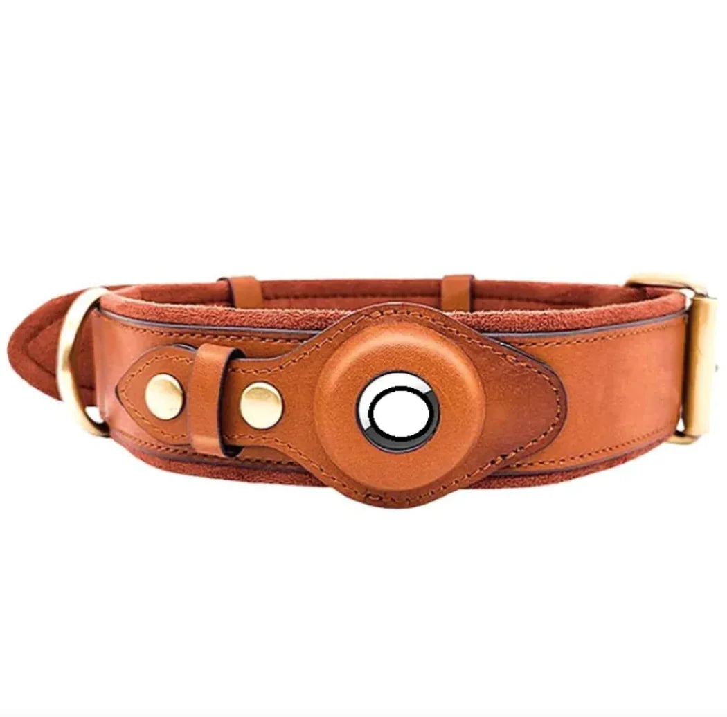 Trackable Premium Leather Dog Collar