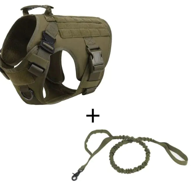 Adventure-Ready Canine Tactical Vest