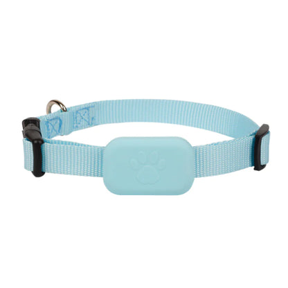 SafePet Finder Collar
