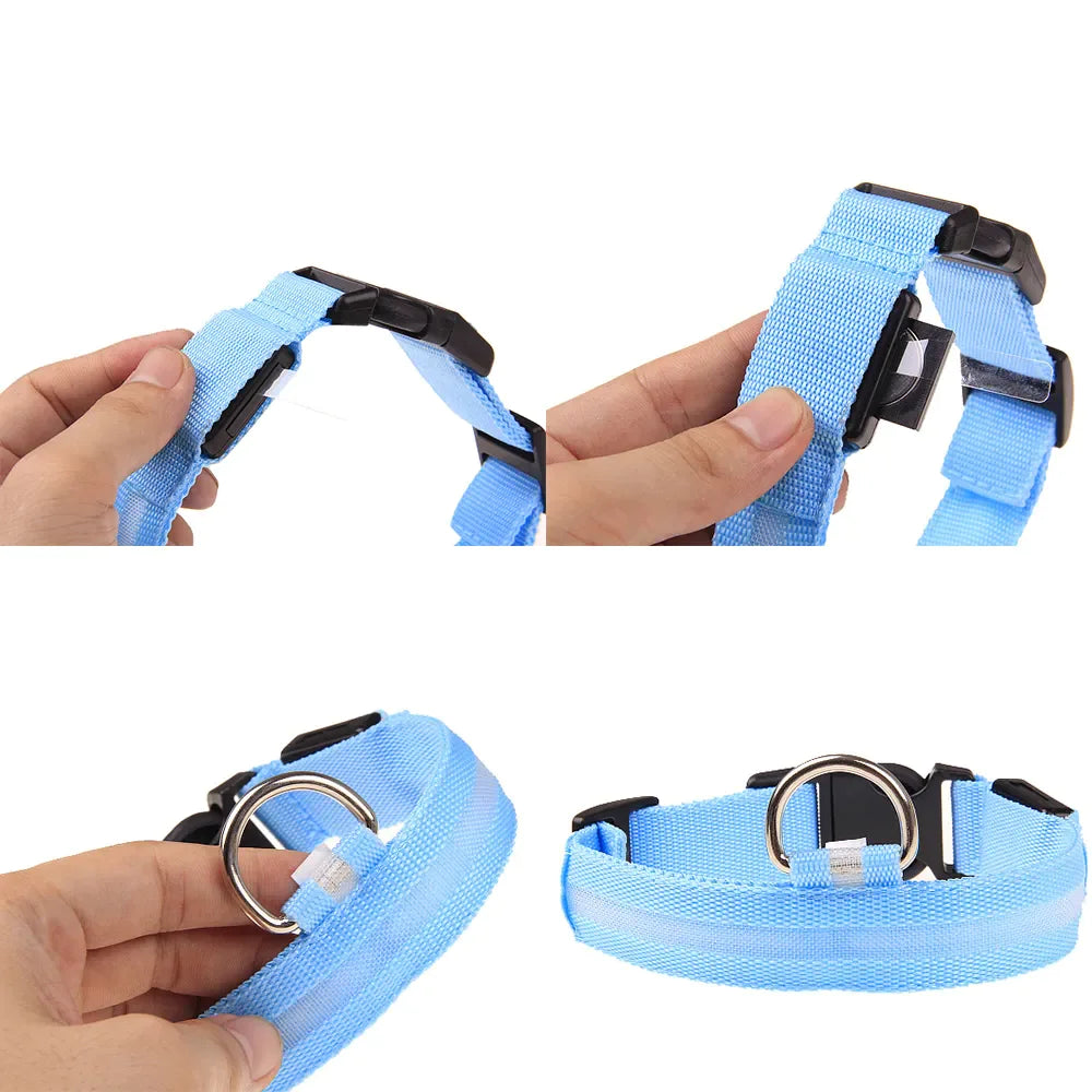 GlowGuard Dog Collar: High Visibility Waterproof LED