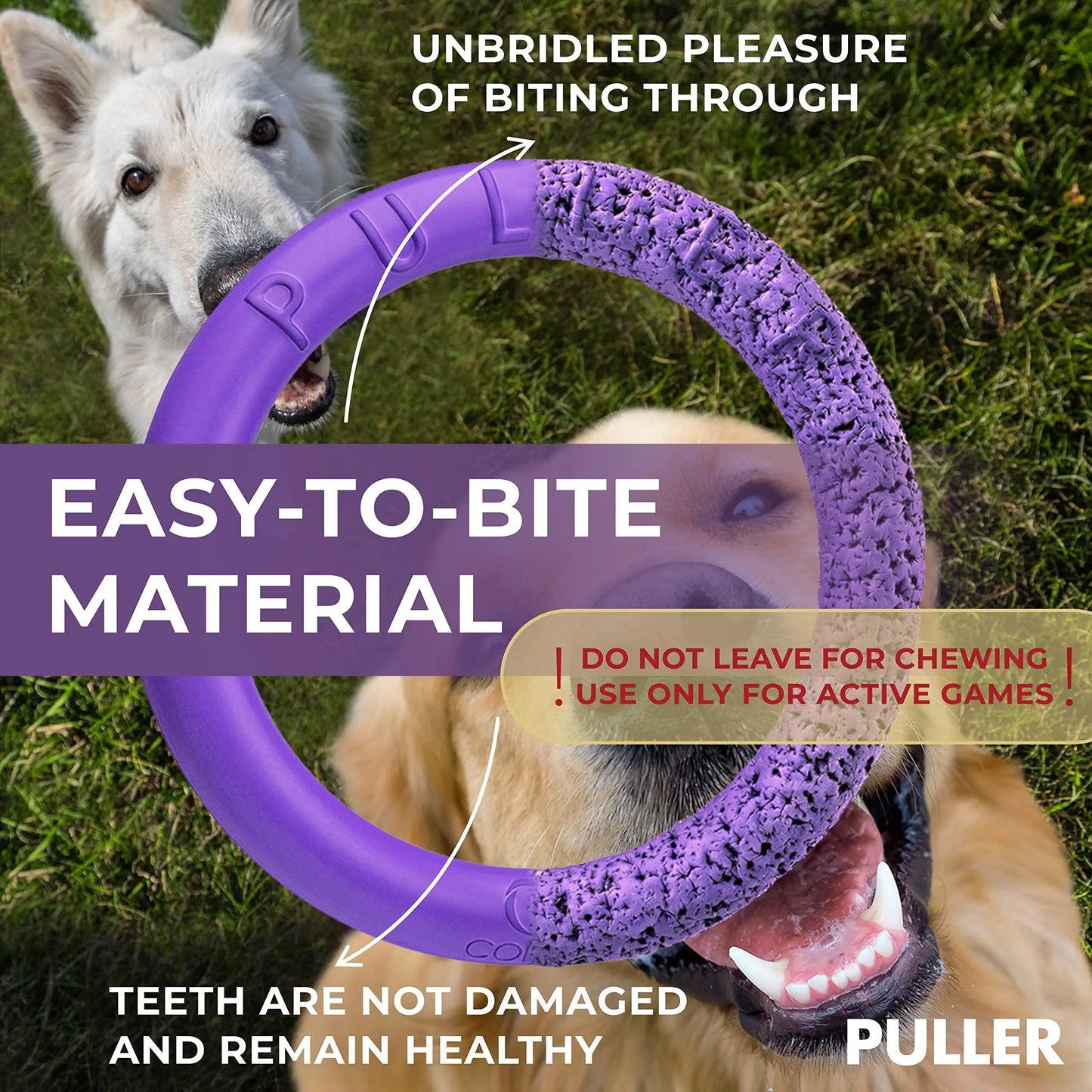 FetchPro Dog Rings for Active Play